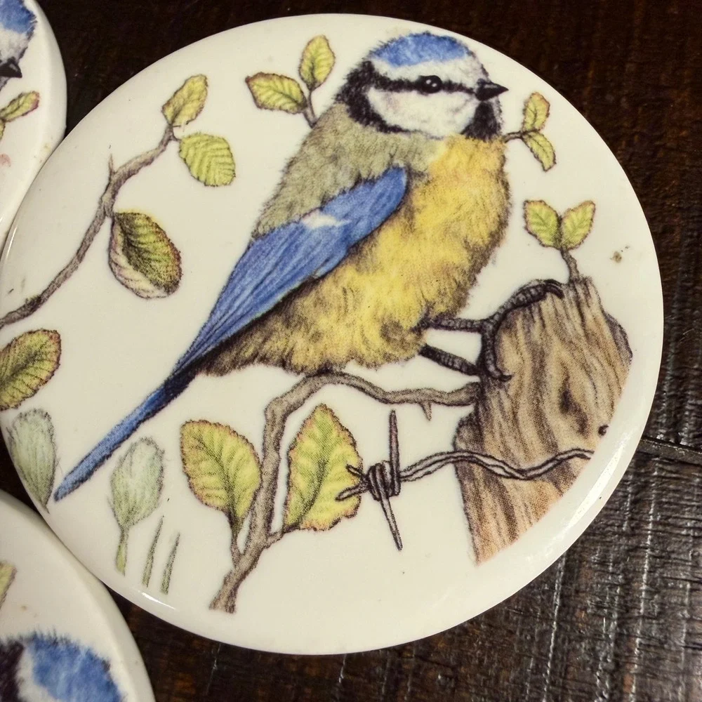 Set of 3 VTG Blue Tit Bird Ceramic Coasters Nature Illustration Decorative Discs